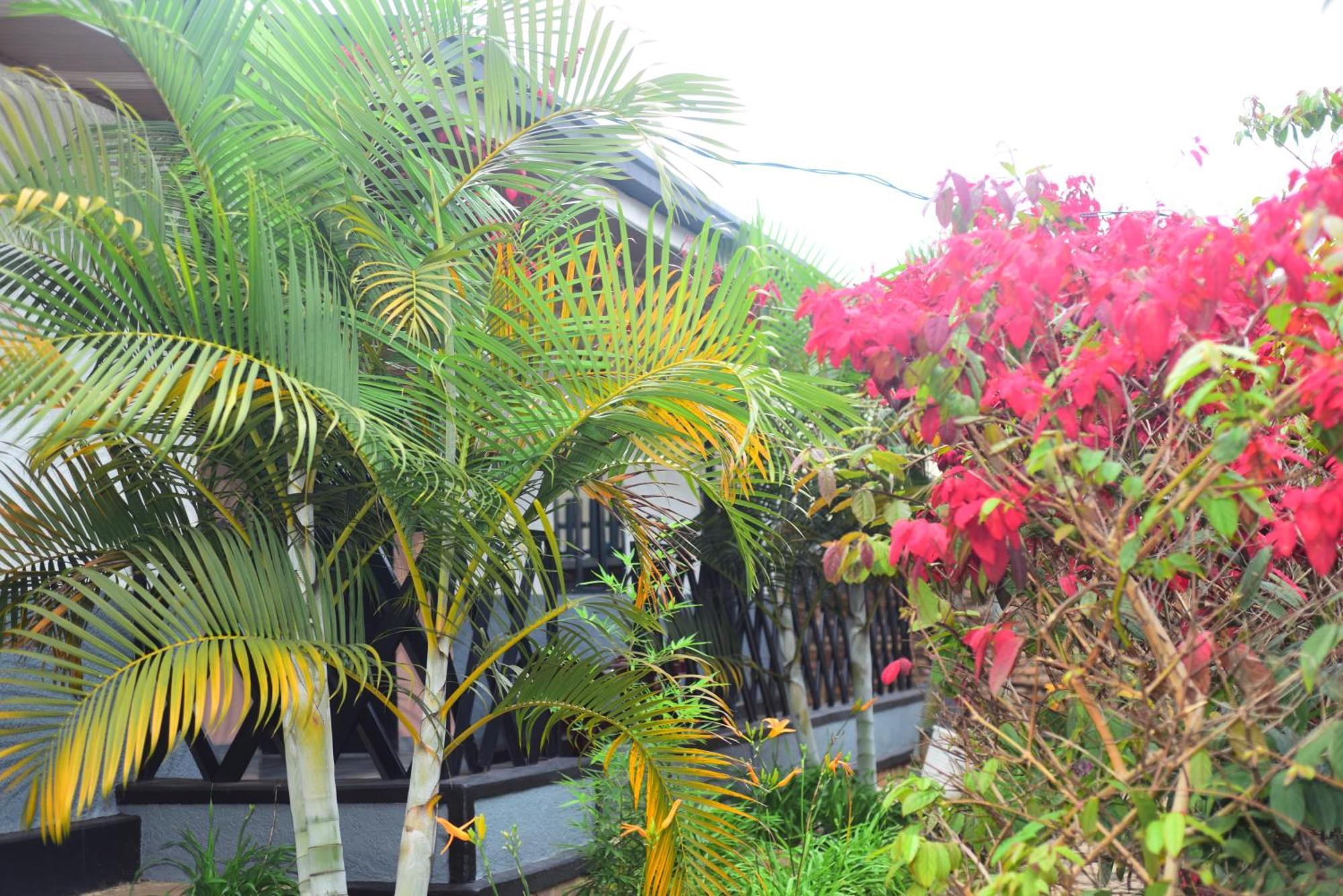 Akagera Neighbors Acomodação com café da manhã Kabarondo Exterior foto